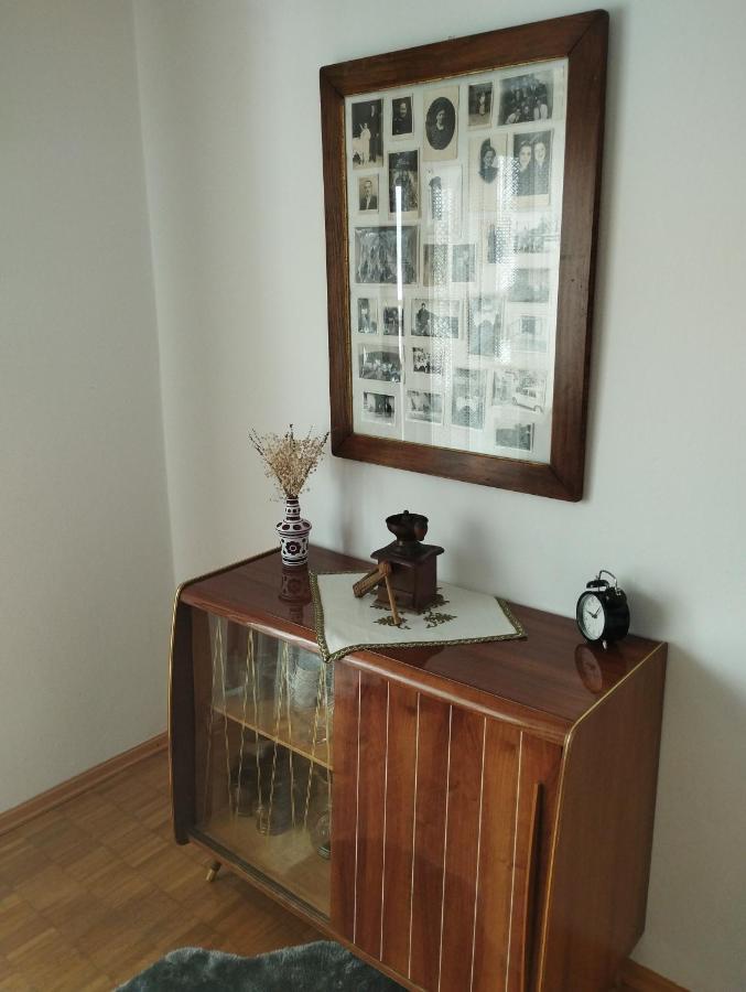 Apartmani Gruzdovo Delnice Luaran gambar