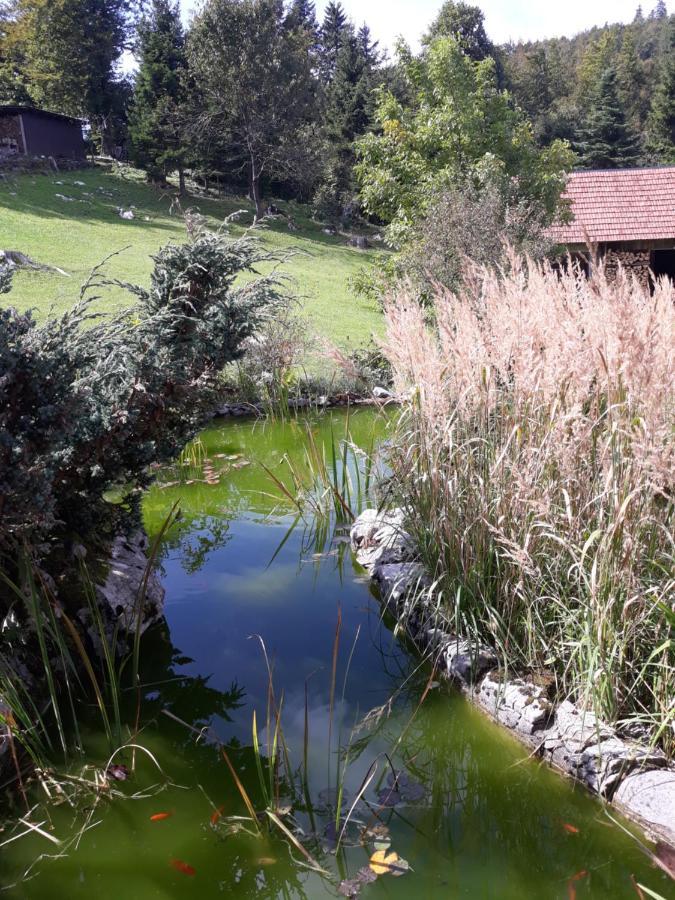 Apartmani Gruzdovo Delnice Luaran gambar