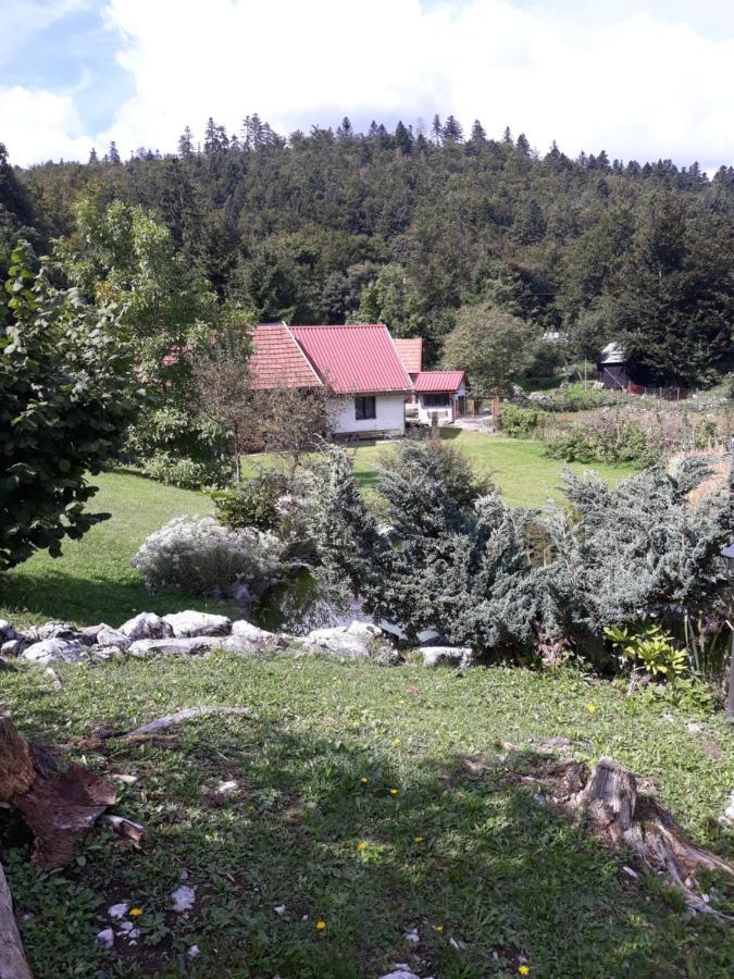 Apartmani Gruzdovo Delnice Luaran gambar