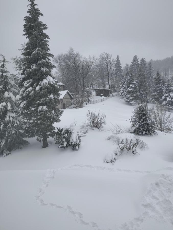 Apartmani Gruzdovo Delnice Luaran gambar