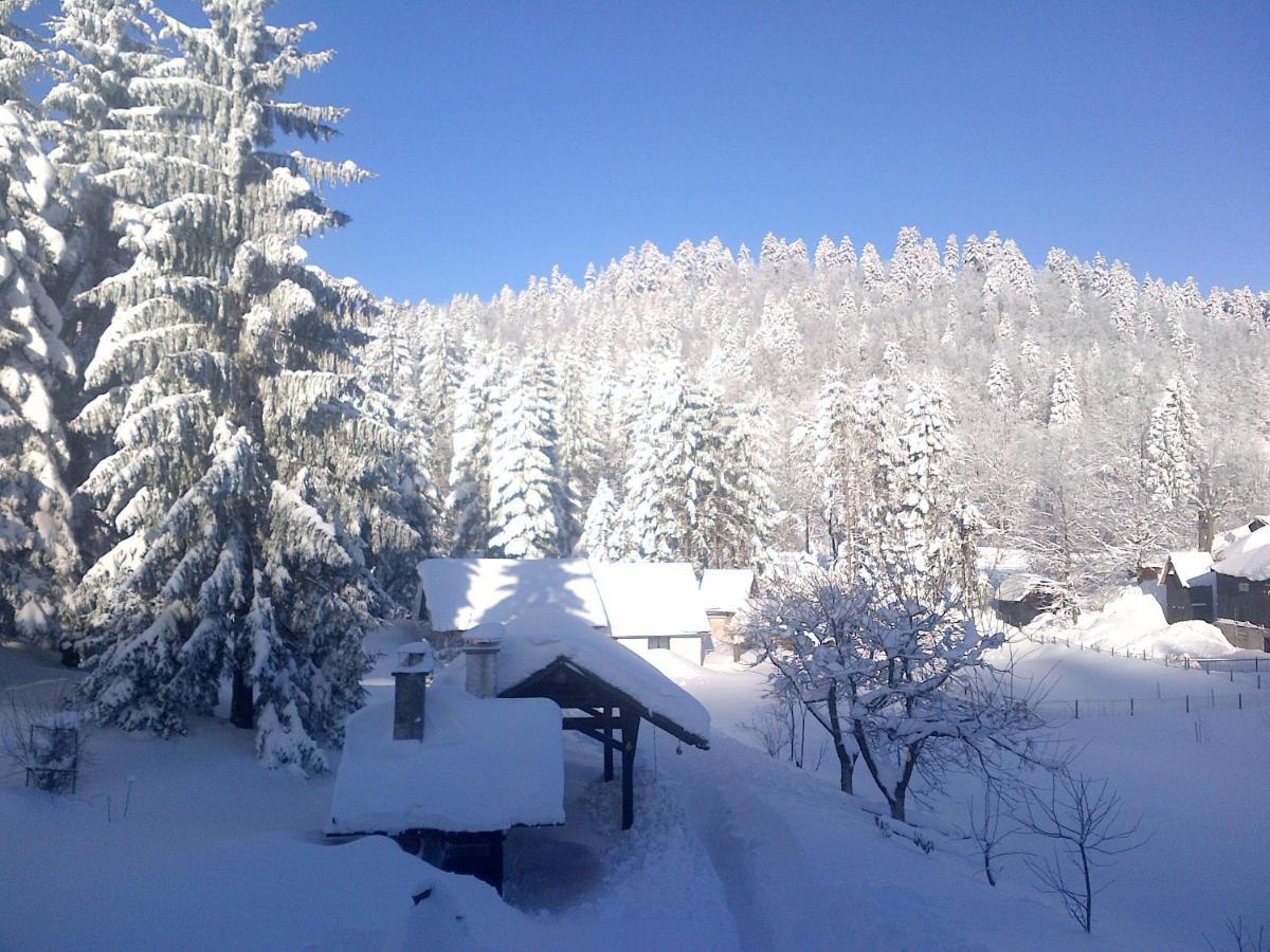 Apartmani Gruzdovo Delnice Luaran gambar