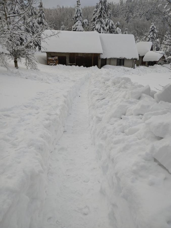 Apartmani Gruzdovo Delnice Luaran gambar