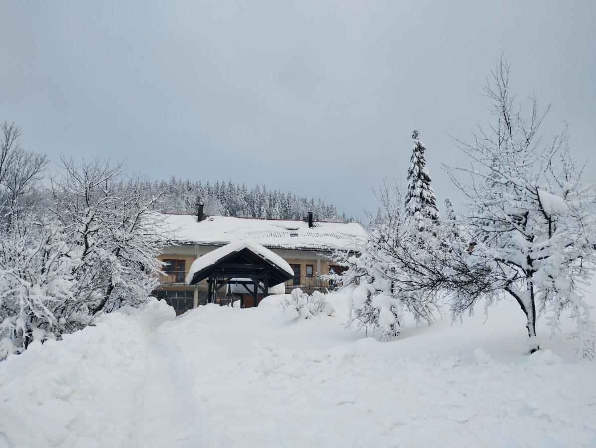 Apartmani Gruzdovo Delnice Luaran gambar