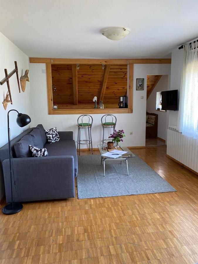 Apartmani Gruzdovo Delnice Luaran gambar