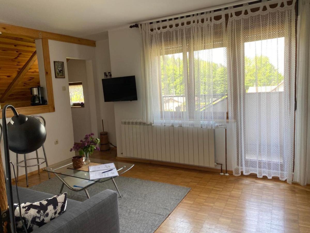Apartmani Gruzdovo Delnice Luaran gambar