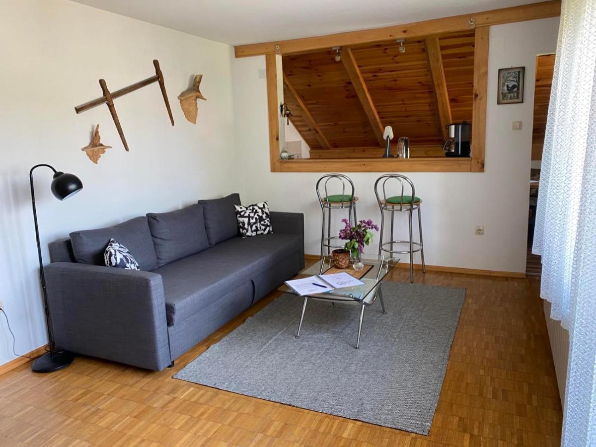 Apartmani Gruzdovo Delnice Luaran gambar
