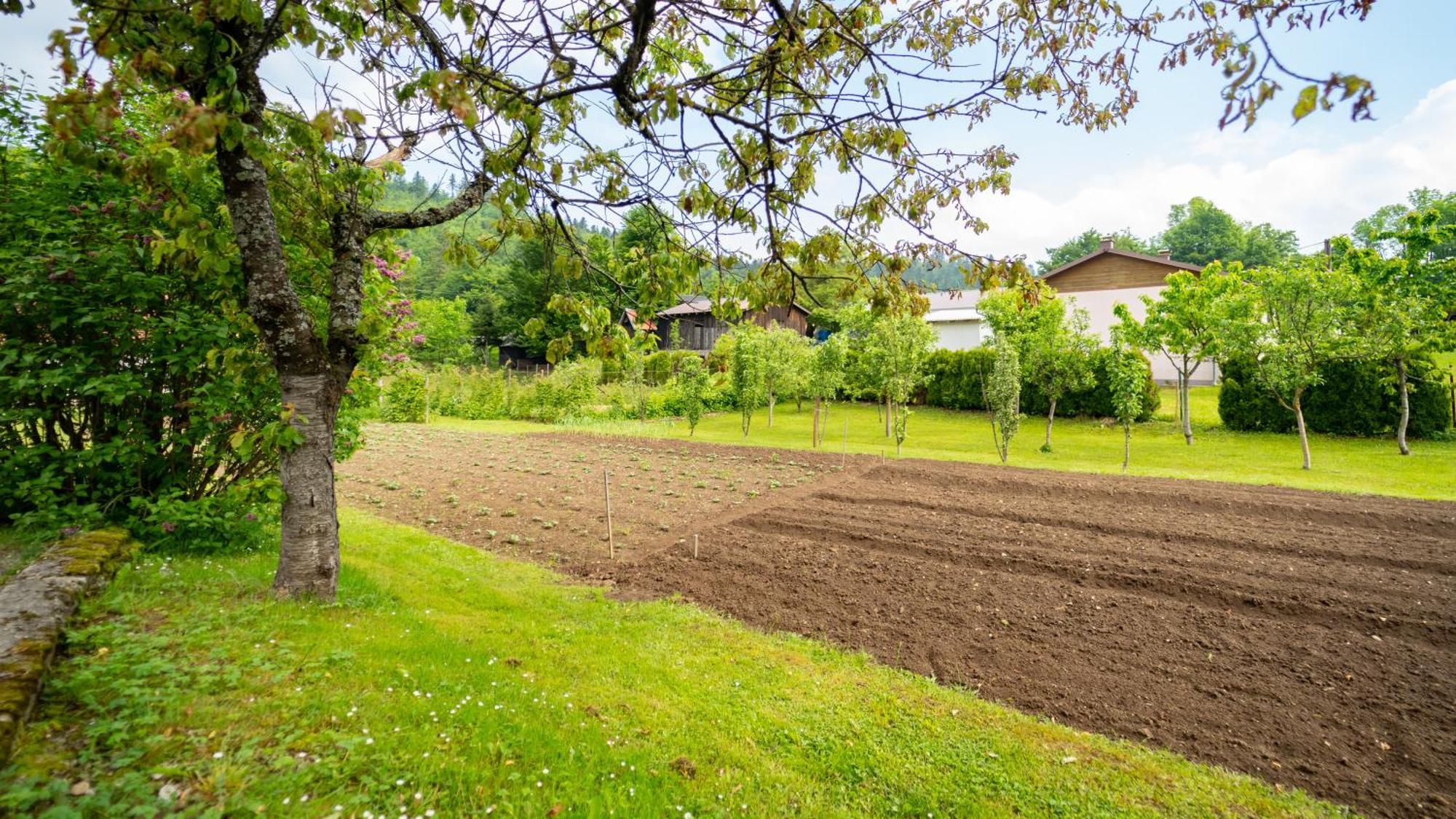 Apartmani Gruzdovo Delnice Luaran gambar